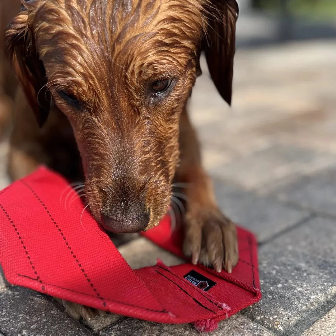 Recycled Firefighter Fire Hose Dog Frisbee featuring Red. Durable construction honors service with professional quality.