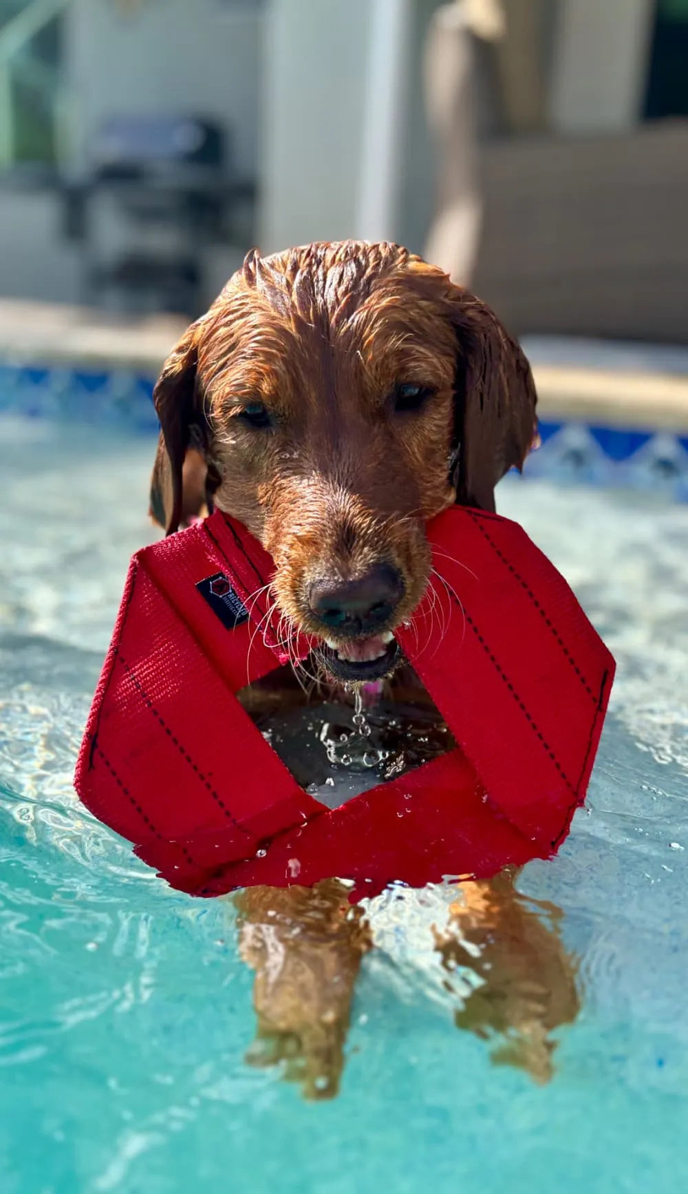 Recycled Firefighter Fire Hose Dog Frisbee featuring Red. Durable construction honors service with professional quality.