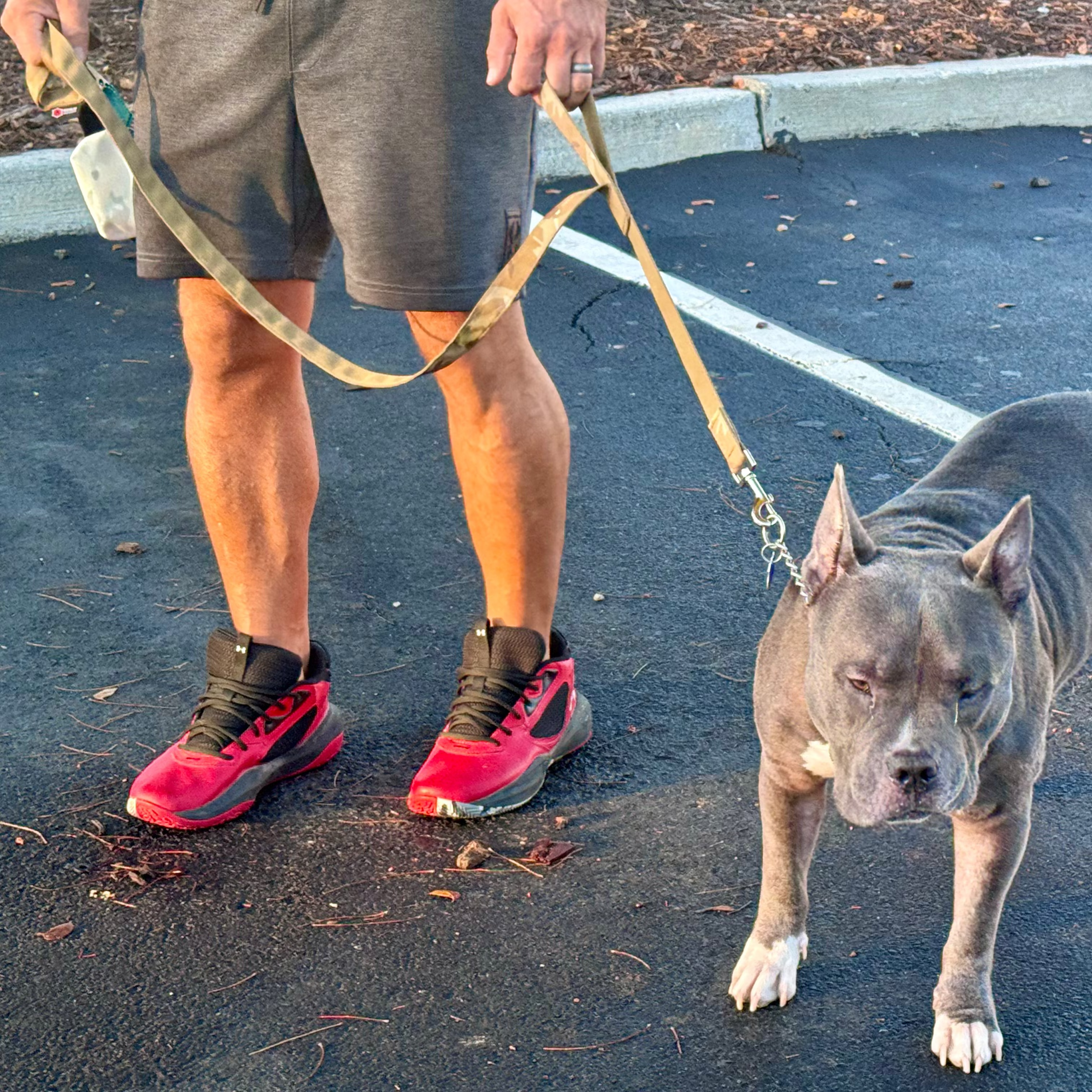 K9 Command Lead - Dual Control Dog Leash