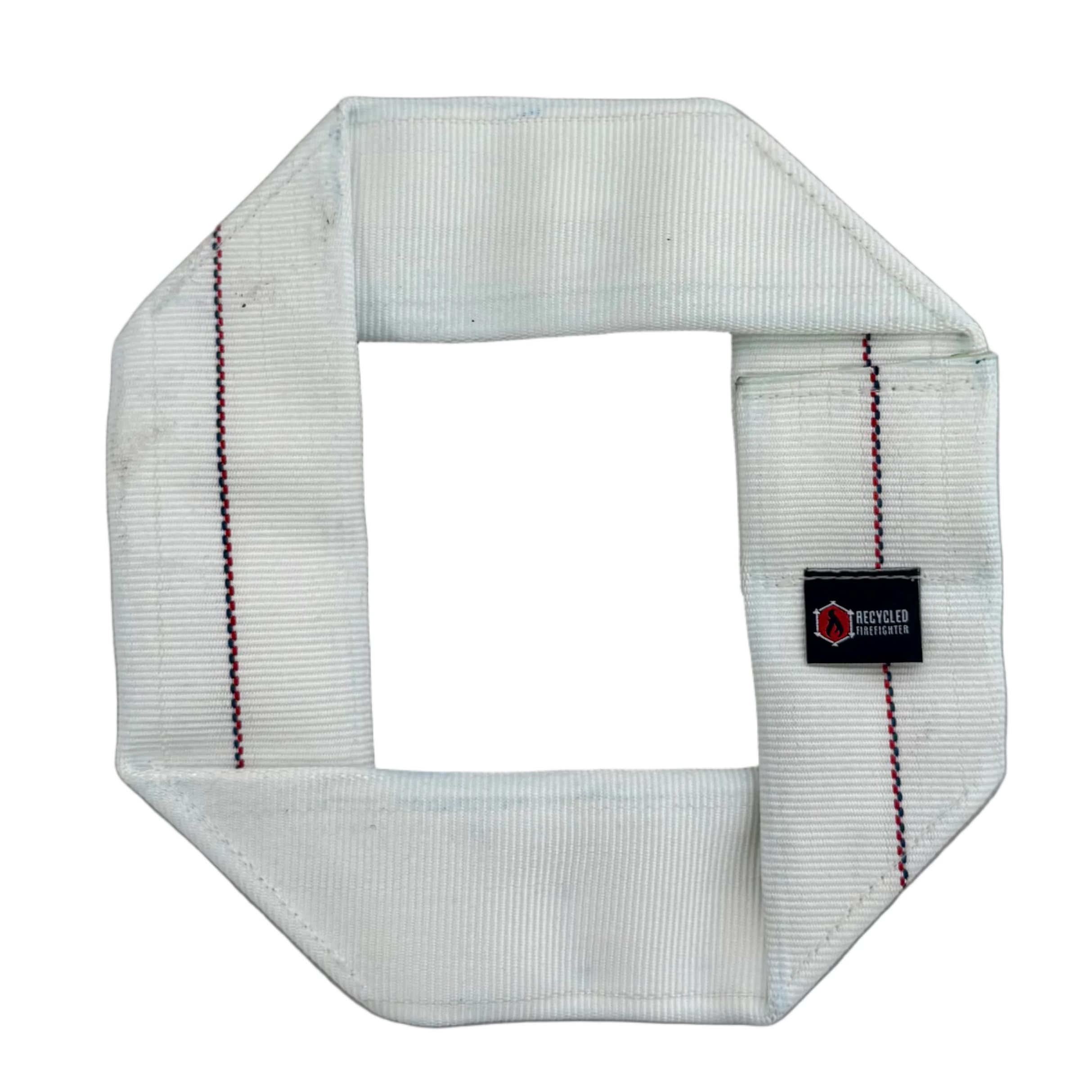 Fire Hose Dog Frisbee