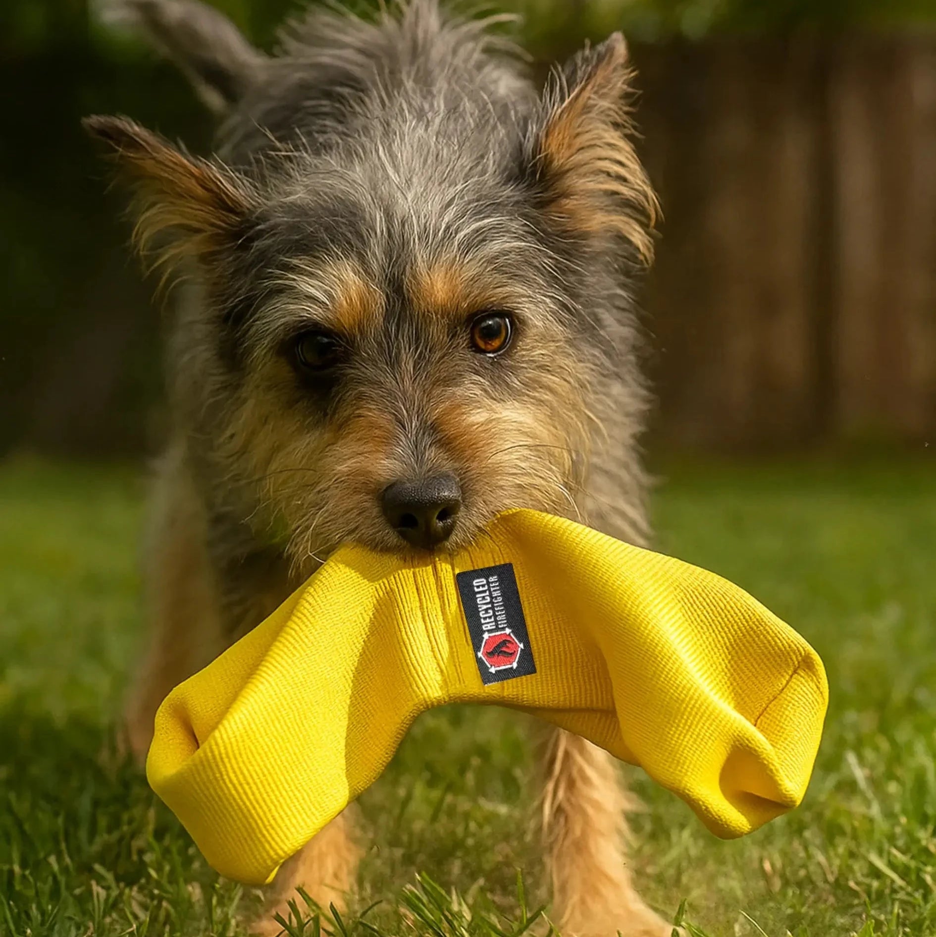 Recycled Firefighter Yellow JR Tugs-A-Lot Double-Loop Firehose Tug Toy. Professional-grade tactical construction for daily operations.