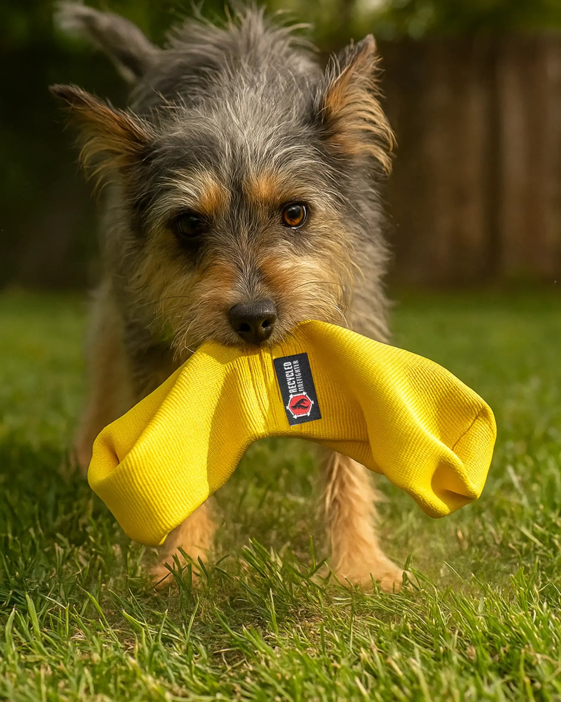 Recycled Firefighter Yellow JR Tugs-A-Lot Double-Loop Firehose Tug Toy. Professional-grade tactical construction for daily operations.