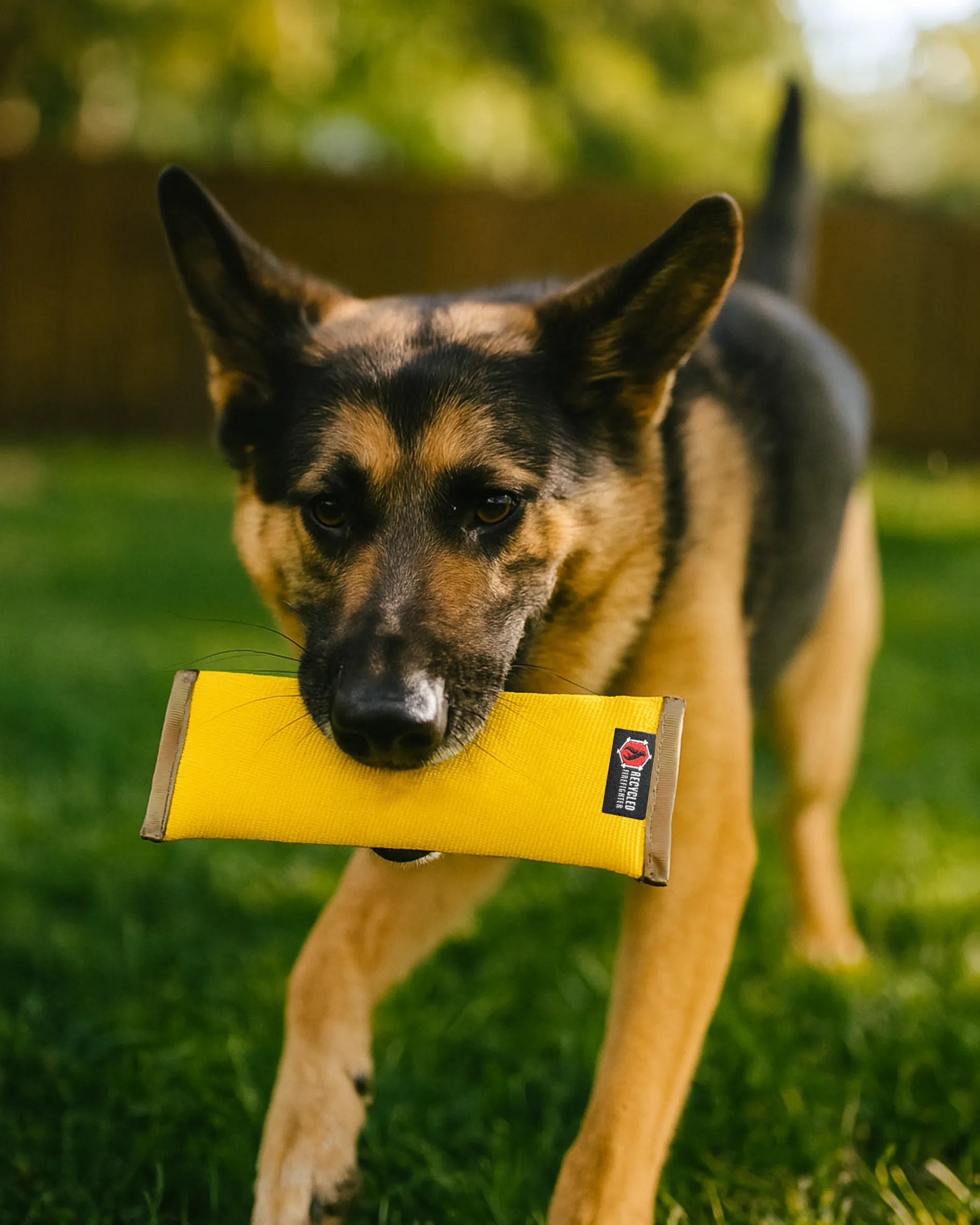 The Recycled Fire Hose Dog Fetch Toy XL in XL-YELLOW-DESERTCAM-12"X4.5" by Recycled Firefighter. Tactical design meets professional durability standards.