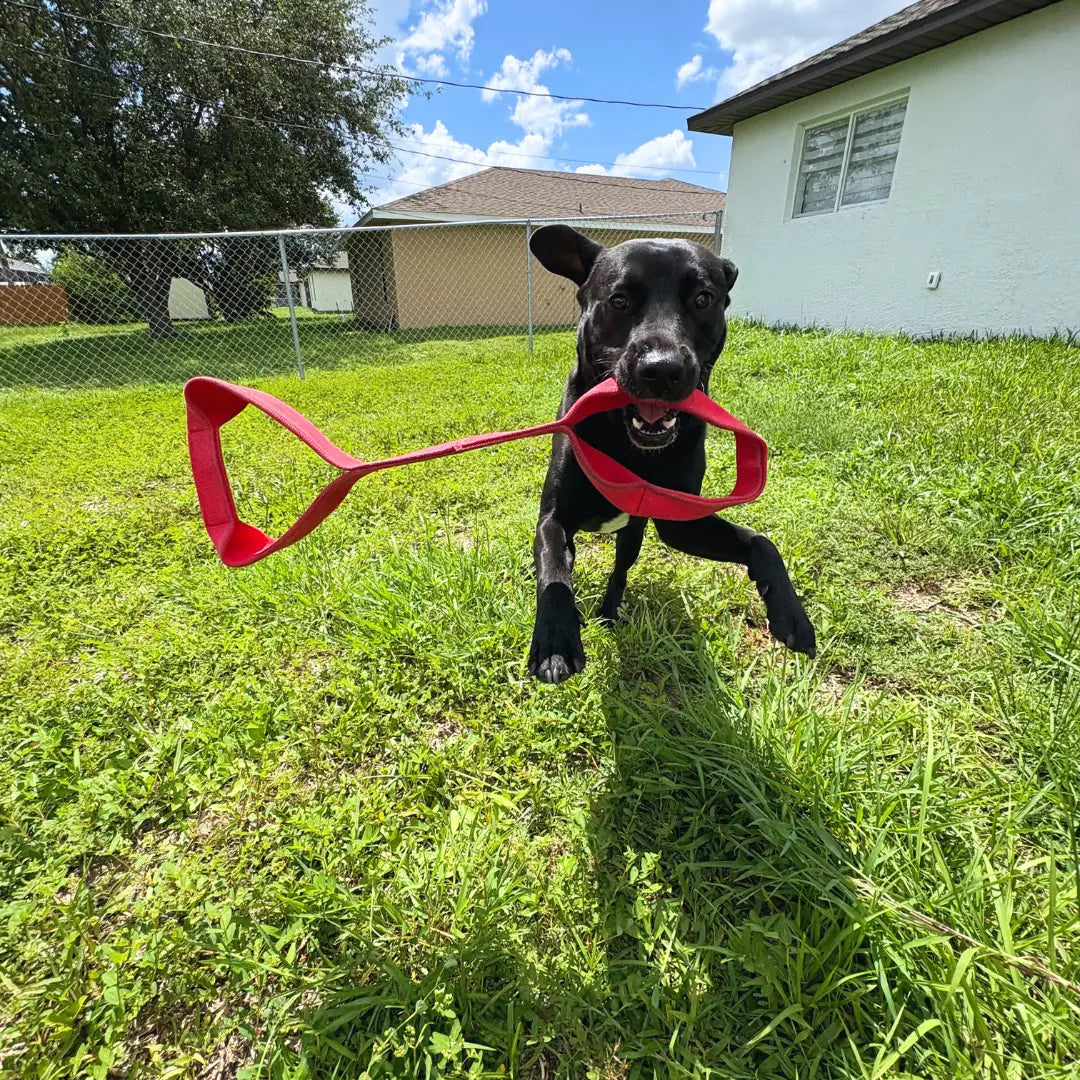 Sir-Tugs-A-Lot – Double-Loop Firehose Tug Toy