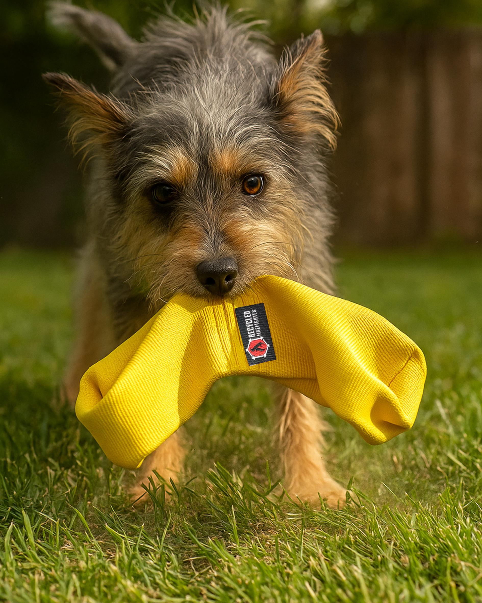 JR Tugs-A-Lot – Double-Loop Firehose Tug Toy